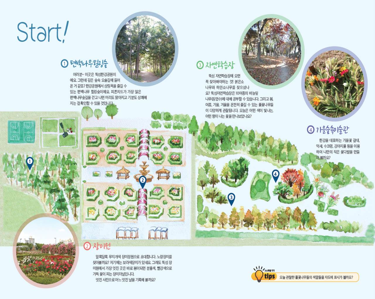 한강의 새봄이 깨어났어요 (뚝섬한강)