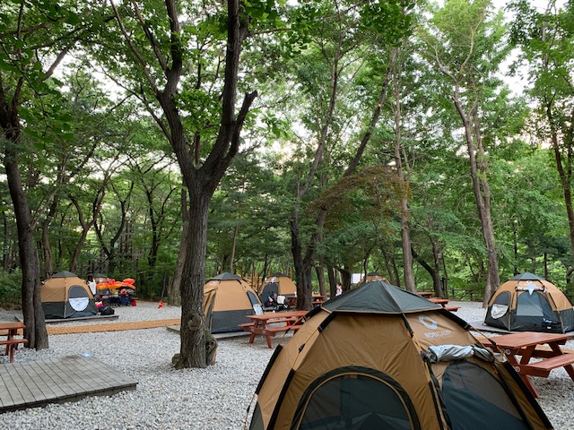 (8월, 주중주말,7세이상 동반가족) 관악산 계곡 캠핑숲 1박 2일- 장수풍뎅이가 꿈꾸는 숲-프로그램(텐트, 매트 제공)