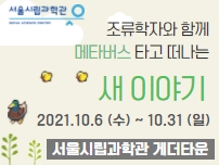 (성인)조류학자와 함께 메타버스 타고 떠나는 새 이야기