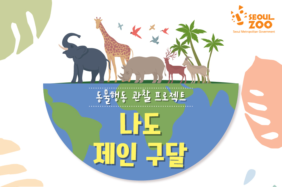 (일)나도 제인 구달  - 동물행동 관찰 프로젝트 -