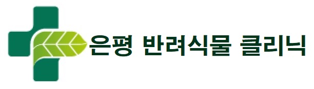 은평 반려식물 클리닉