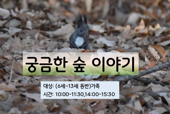 궁금한 숲 이야기