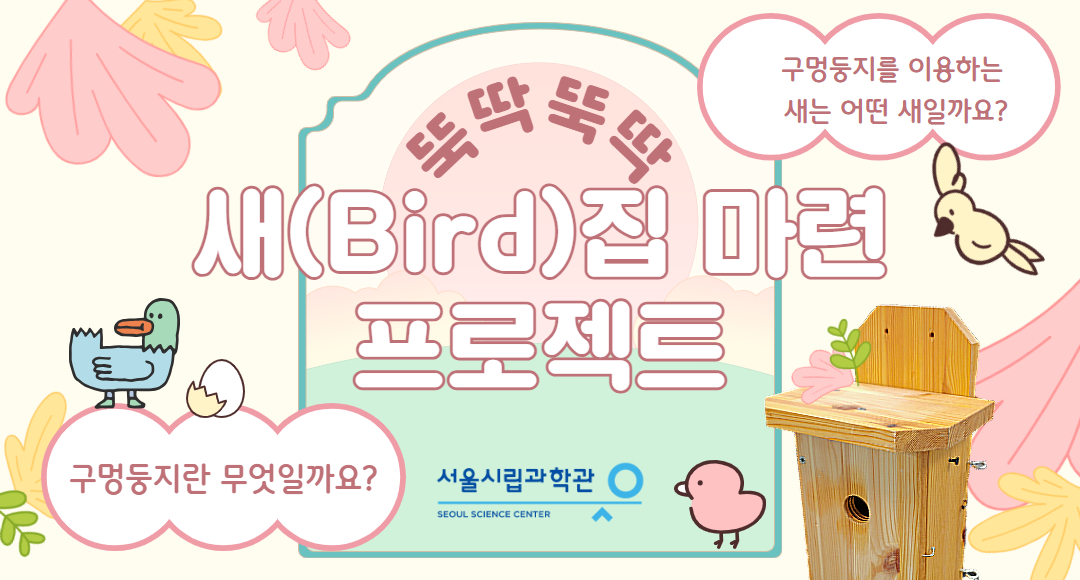 (주말/가족) 뚝딱뚝딱 새(Bird)집 마련 프로젝트
