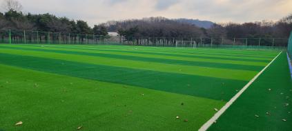 124난지물재생센터 축구장 인조잔디 사진