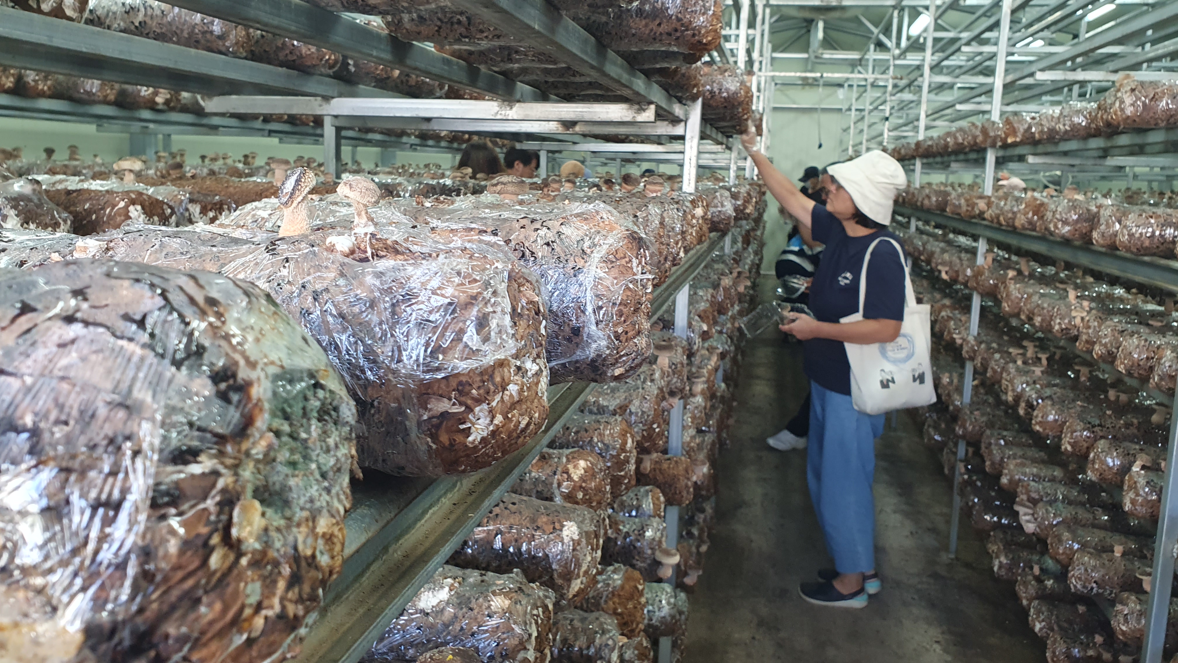 (3기) 2024년 상반기 전원생활교육 신청 안내