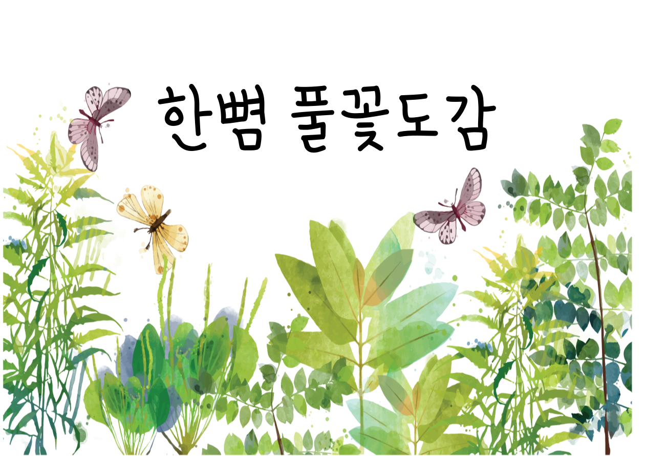 [서울식물원/숲문화학교/수요일, 토요일/성인, 가족/4월] 한뼘 풀꽃 도감