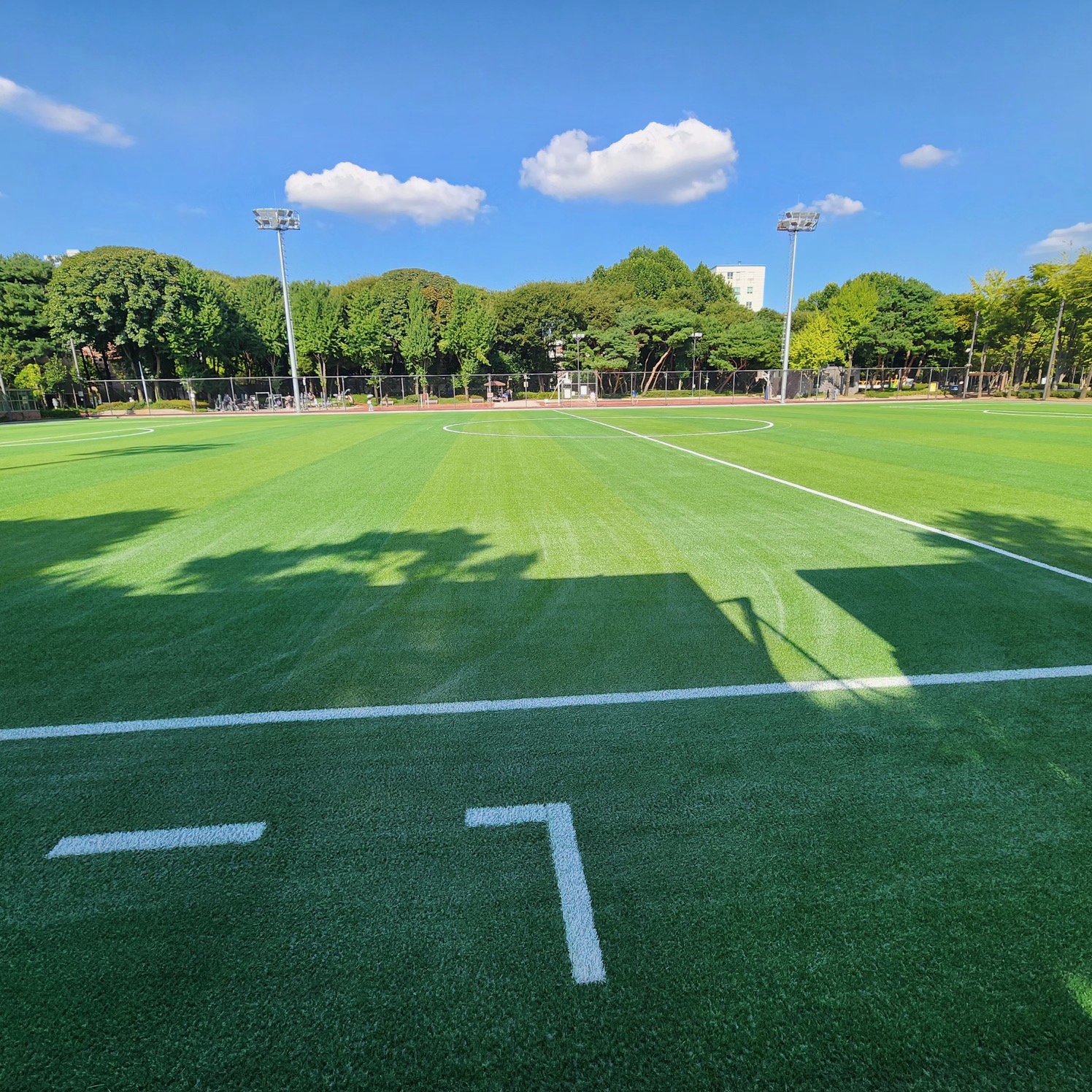 축구 / 양재 / (24년 10~이후)  서초구 예약시스템에서 예약가능