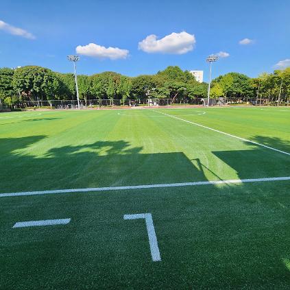 축구 / 양재 / (24년 10~이후)  서초구 예약시스템에서 예약가능 사진