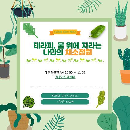 124[성동구] 수경재배, 물 위에 자라는 나만의 채소정원 사진
