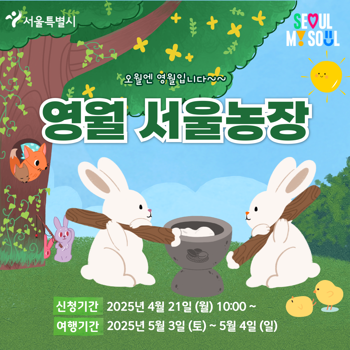 [영월서울농장] 오월엔 영월입니다~(250503)