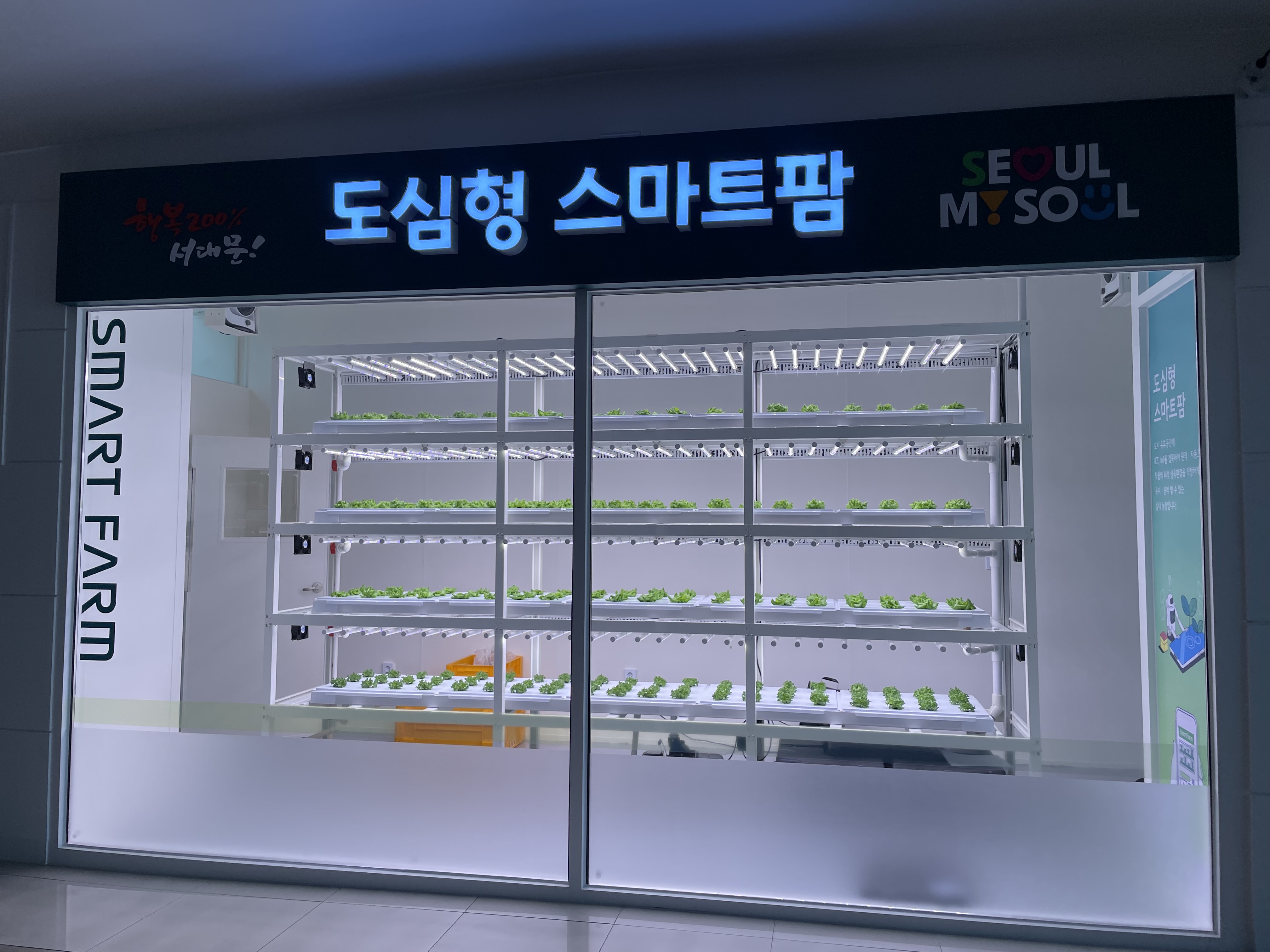 (서대문구)미래도시 농부 견학교실