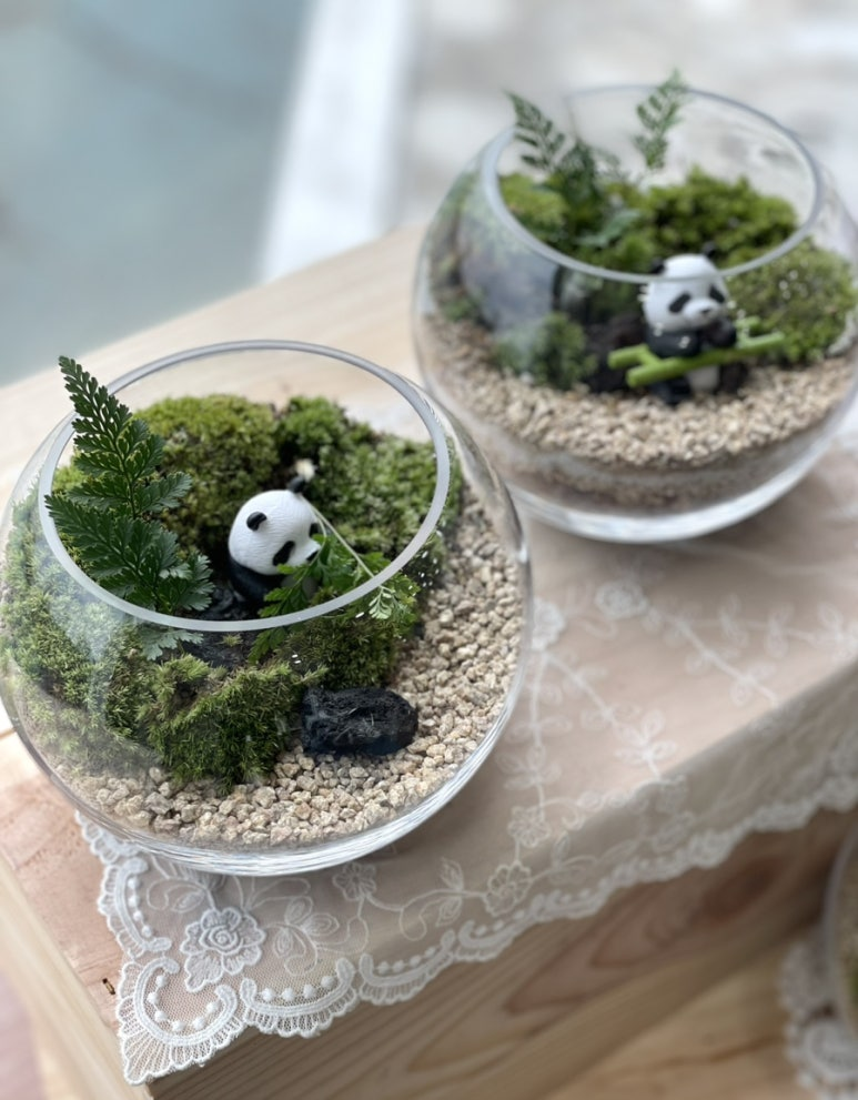 재능발견연구소: 플랜테리어 클래스(테라리움) _ 송파구 문화실험공간호수