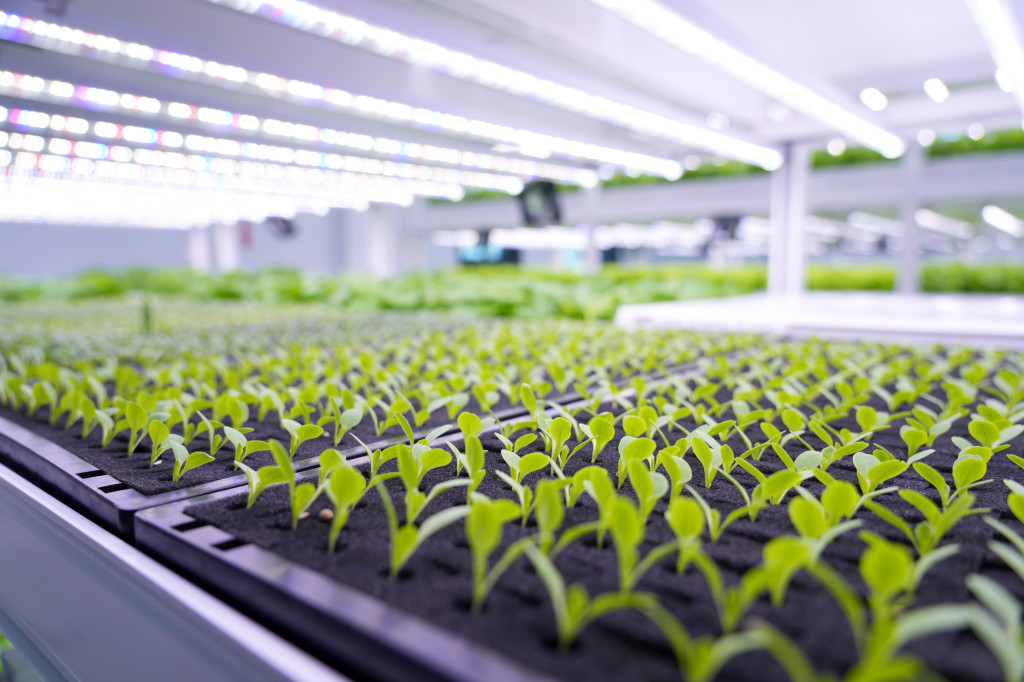 (6월)강북구 스마트팜 센터 체험프로그램