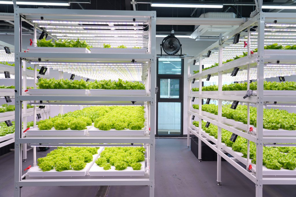 (6월)강북구 스마트팜 센터 체험프로그램