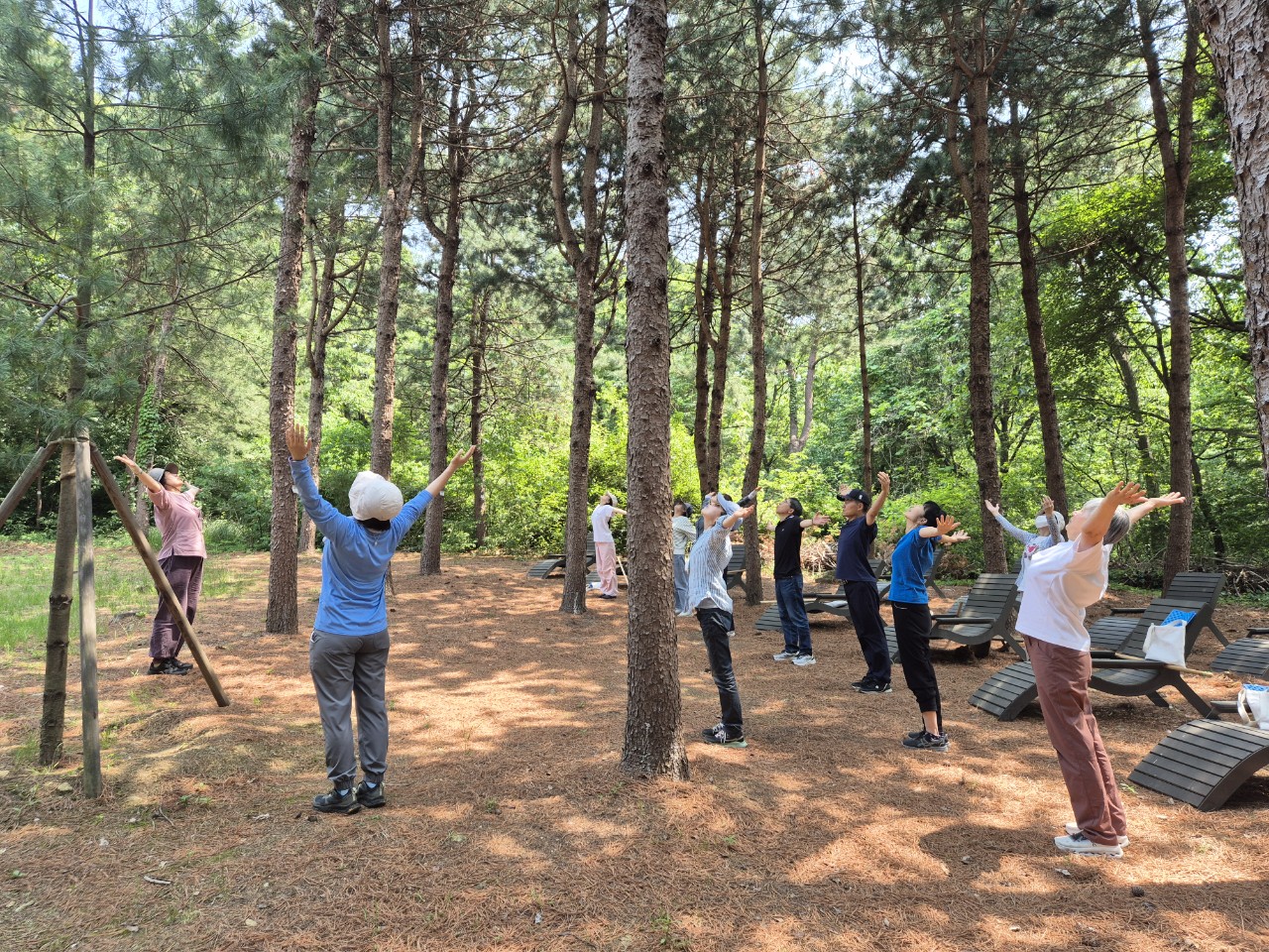 〔치유의 숲길〕서울대공원 치유의 숲, 2025.10~11월 하늘빛 마중숲(개인,유료)