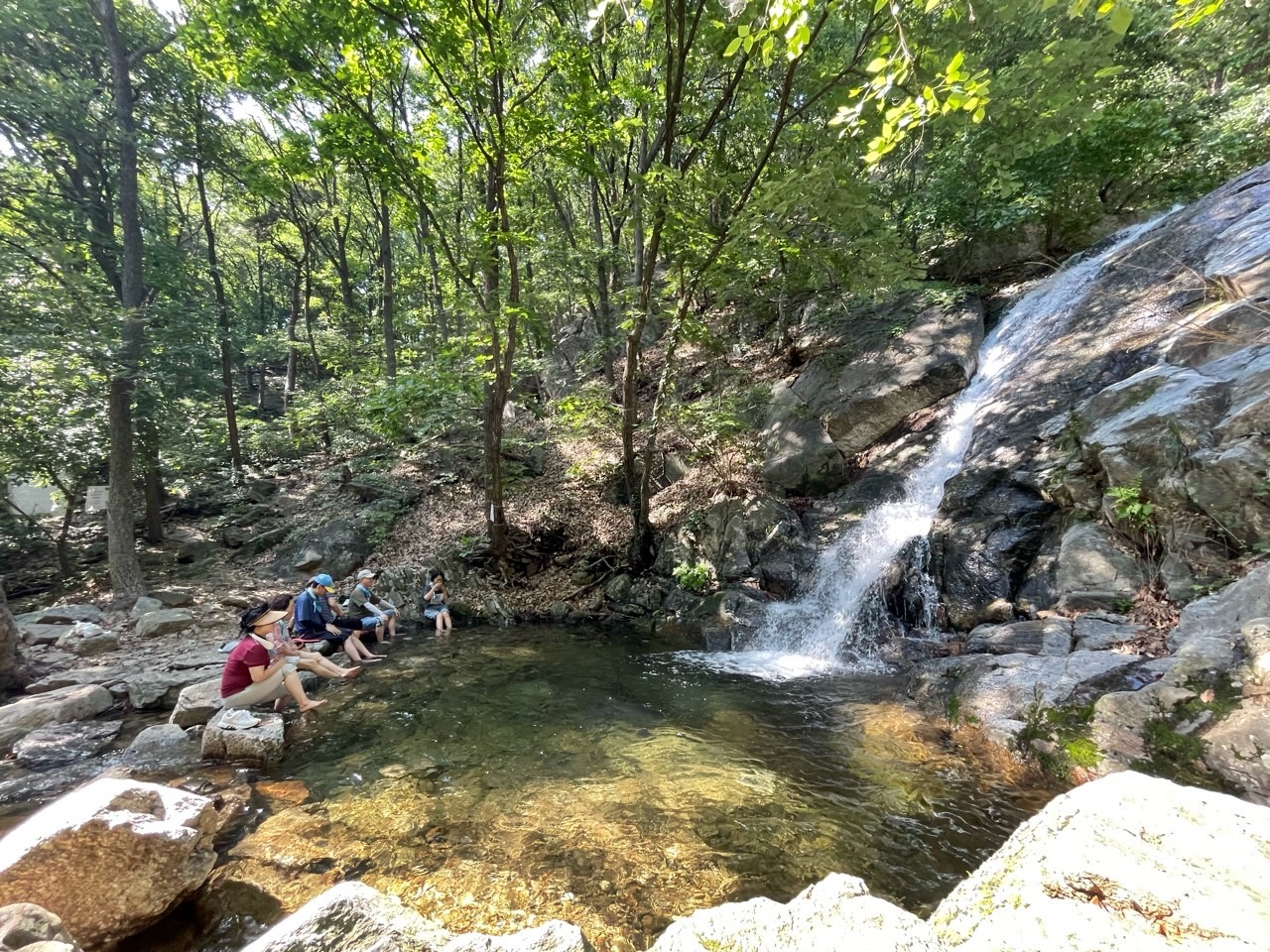 〔치유의 숲길〕서울대공원 치유의 숲, 2025.10~11월 힐링숲(단체, 유료)