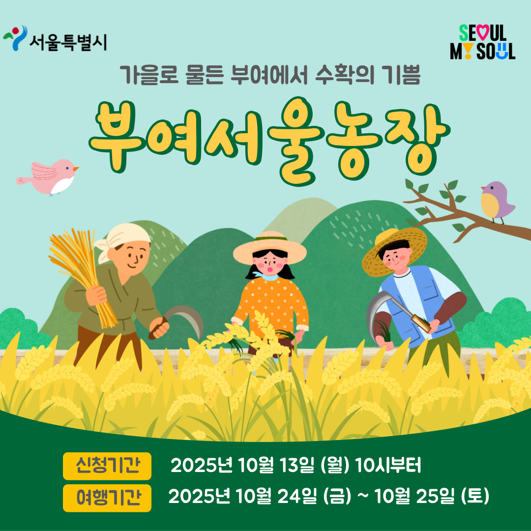 [부여서울농장] 가을로 물든 부여에서 수확의 기쁨(251024)