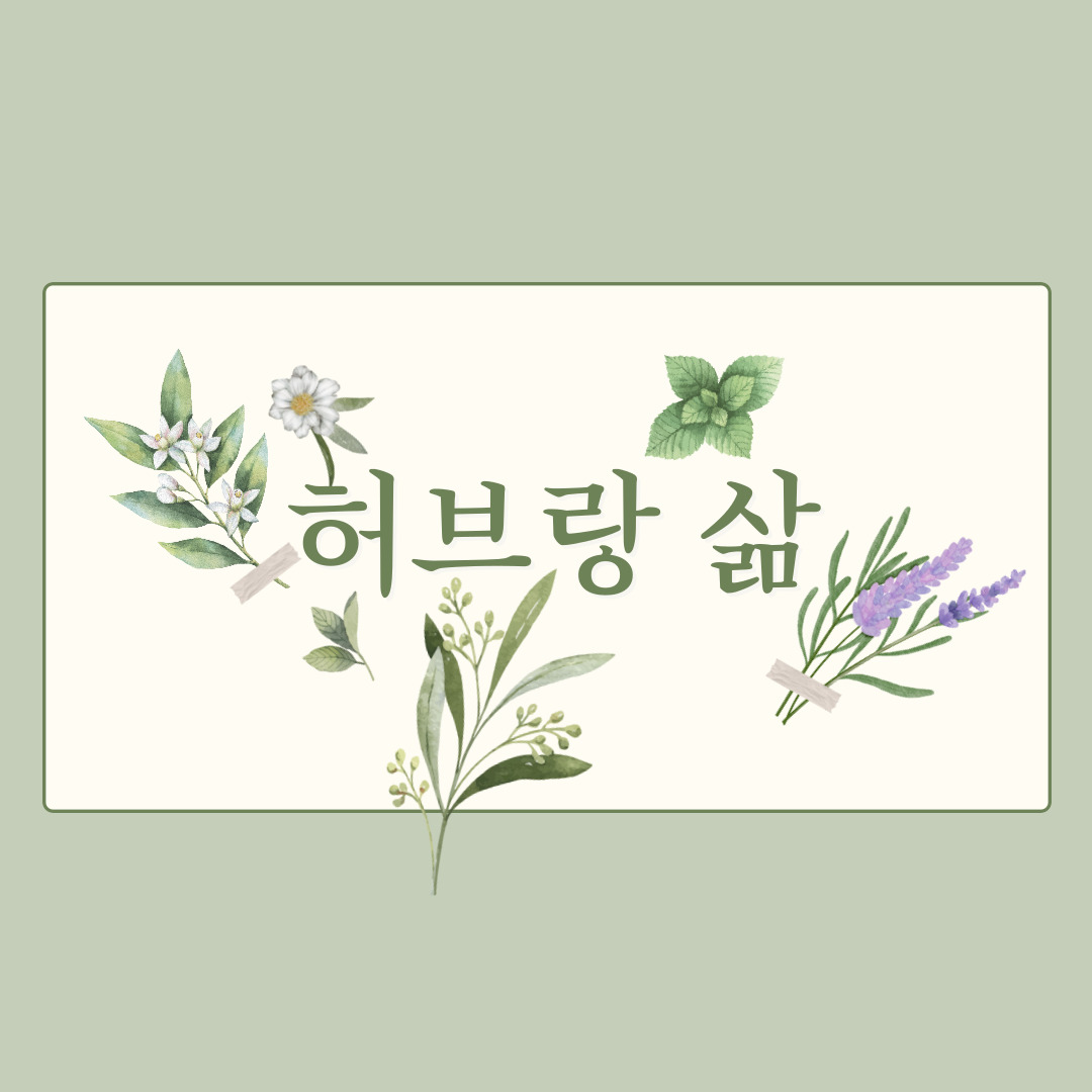 (강감찬센터, 11월, 목, 10시, 성인) 허브랑 삶 