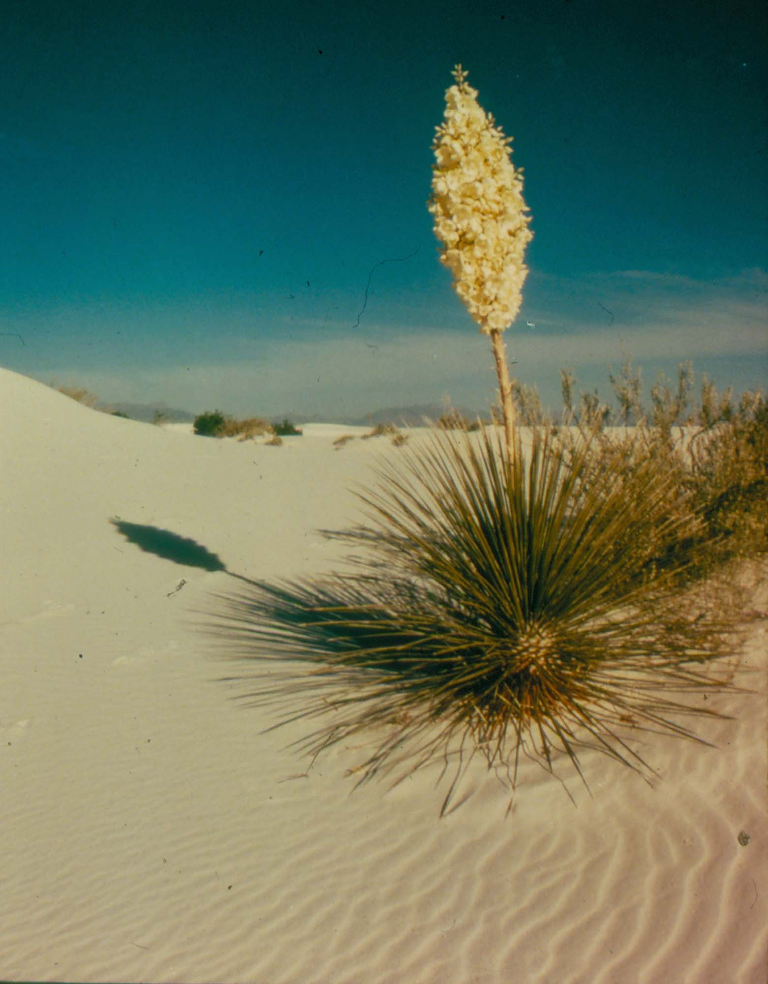 (주말) 기억을 그리는 여행가