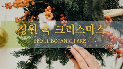 124[서울식물원/숲문화학교/목요일,토요일/성인/12월] 정원 속 크리스마스 사진