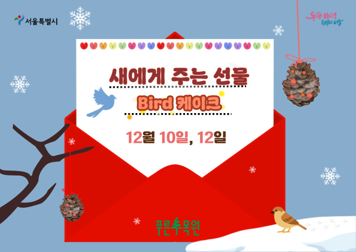 새에게 주는 선물: Bird 케이크