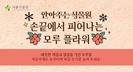 124[서울식물원/목요일/토요일/일요일/중학생 이상/12월]  안아주는 식물원; 손끝에서 피어나는 모루 플라워 사진