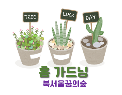 124(화)홈가드닝 사진