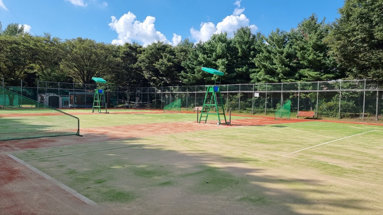 서울숲 테니스장 평일