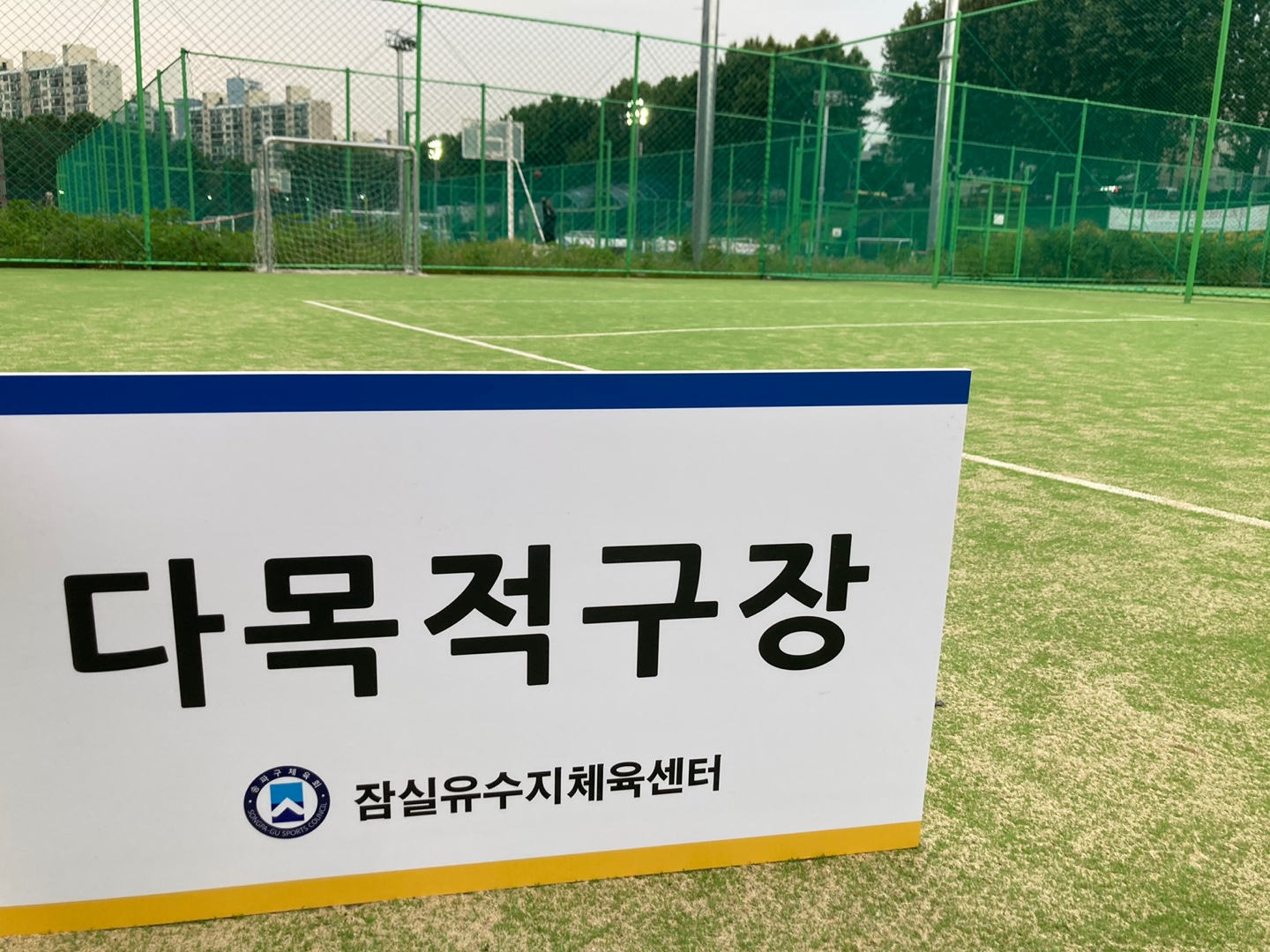 1월 잠실유수지 다목적풋살장 평일주간