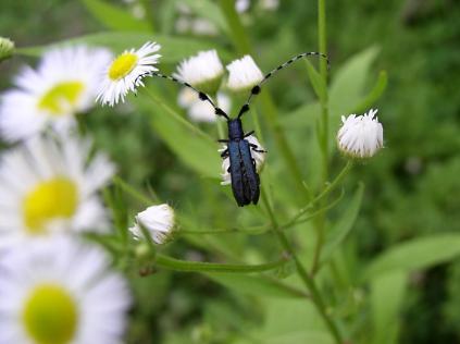 124길동생태공원 입장예약(2026년) 사진