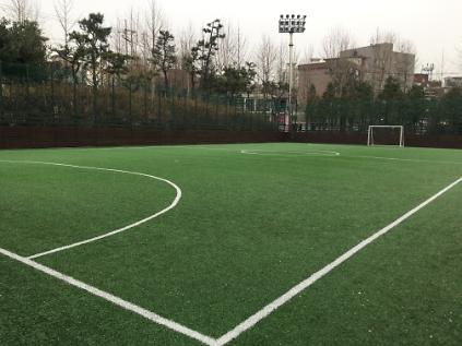 1242026년 2월 영등포공원 풋살경기장(토, 일, 공휴일 주간) 사진