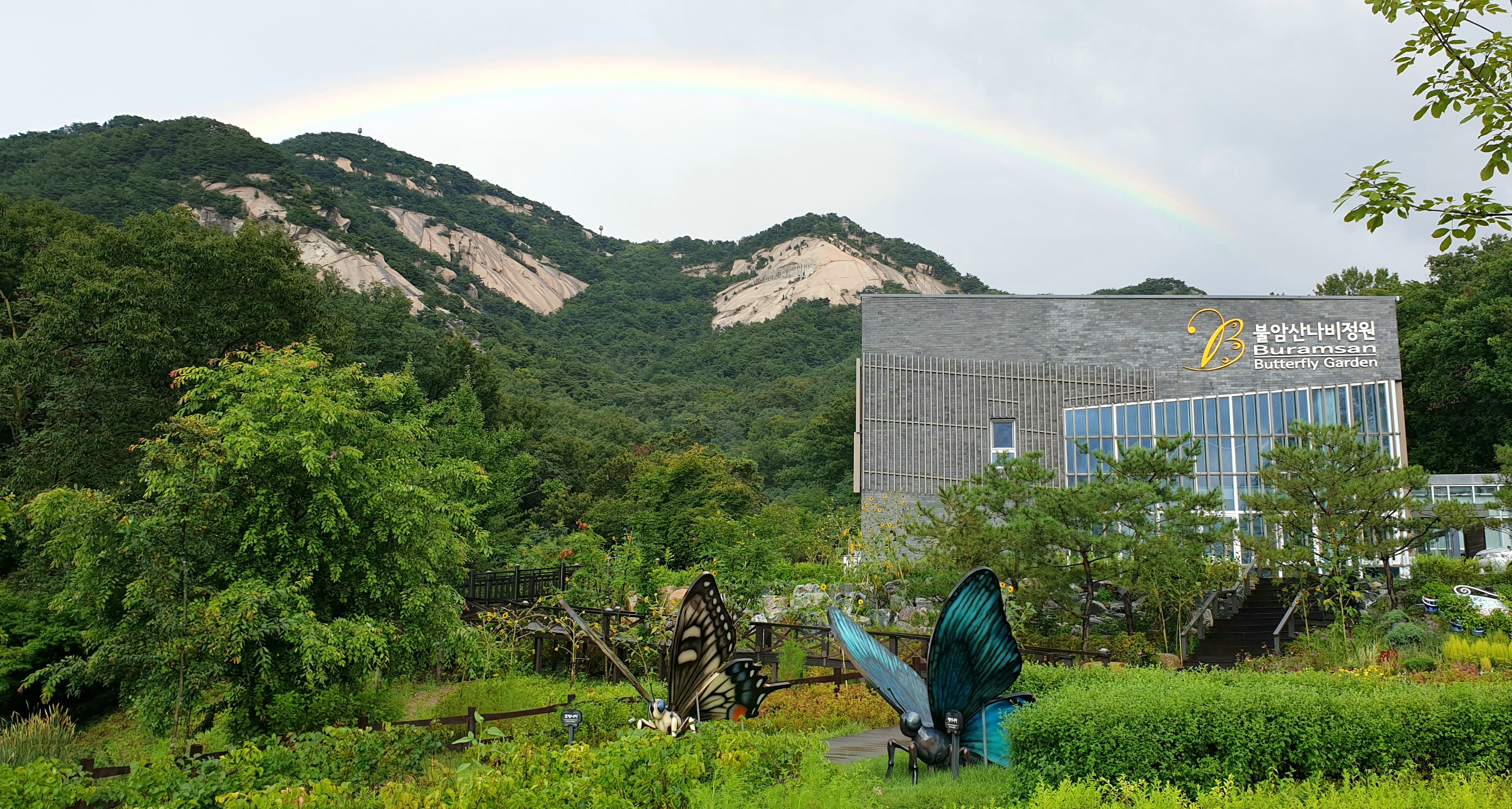 (6~7월) 불암산나비정원 <찾아가는 곤충교실> 
