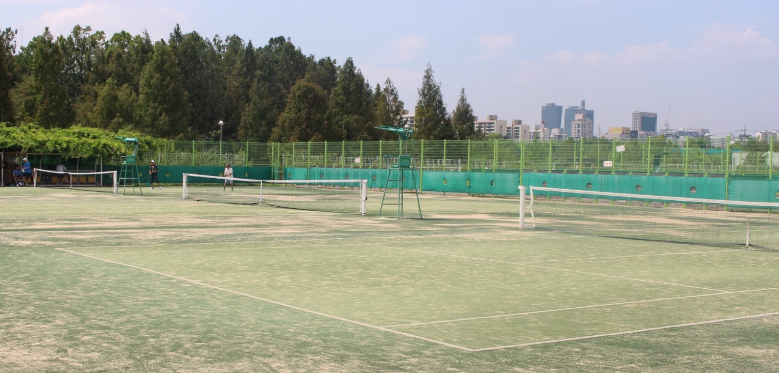 마루공원 테니스장 (추첨)