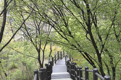 124[서대문 도보해설](7코스) 홍제천 물길따라 걷는 이야기 여행 - 주말 오후 3시 사진