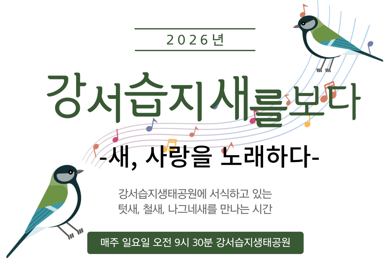 [강서습지] 강서습지 새를 보다 -새, 사랑을 노래하다-