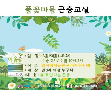 124풀꽃마을 곤충교실 사진