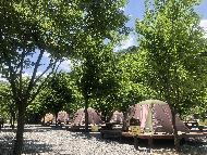 124(텐트 설치, 전국민 예약)제천 서울캠핑장 (2026년 5월) 사진