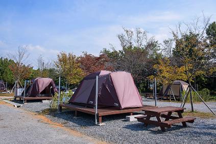 124(텐트 설치, 전국민 예약)함평 서울캠핑장 (2026년 5월) 사진