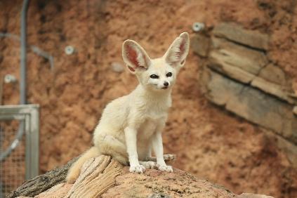 1242026 희망 힐링 주 아카데미 사진