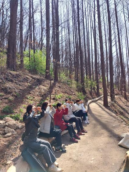 124[서대문구] 안산치유의 숲길- 산림치유 '더싱싱숲'<금요일 오후반> 사진
