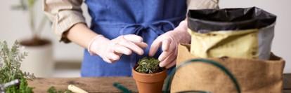 124[길동생태문화센터 가드닝]시티가드너/힐링가든 랩(3월) 사진