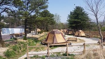 124(텐트 설치, 전국민 예약)포천 서울캠핑장 (2026년 4월) 사진