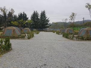 124(텐트 설치, 전국민 예약)상주 서울캠핑장 (2026년 4월) 사진