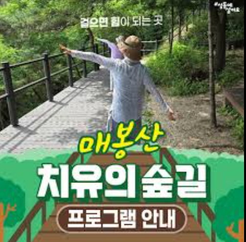 [성동구] 매봉산 치유의 숲길-일반