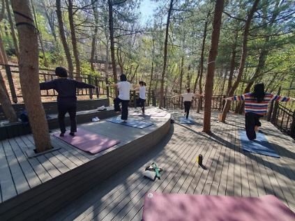 124 [성북구]월곡산 오동공원 치유의 숲길-(목) 마음테라피 사진