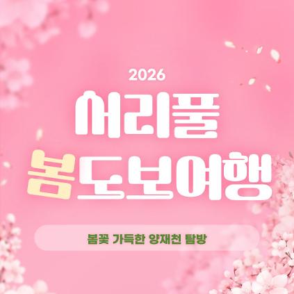 1242026 서리풀 봄 도보여행(봄꽃 가득한 양재천 탐방) 사진