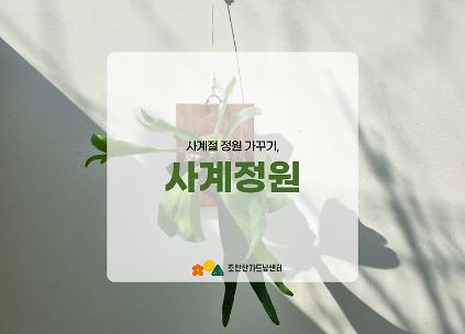 124[초안산가드닝센터][주말][토요일]4,5월/가드닝/사계정원 사진