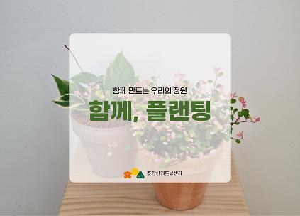 124[초안산가드닝센터][주말][토요일]4,5월/가드닝/함께, 플랜팅 사진