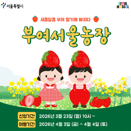 [부여서울농장] 새콤달콤 부여 딸기에 빠지다 (260403) 사진