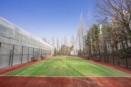 1244월계남테니스야외코트(평일 06시~18시) 사진